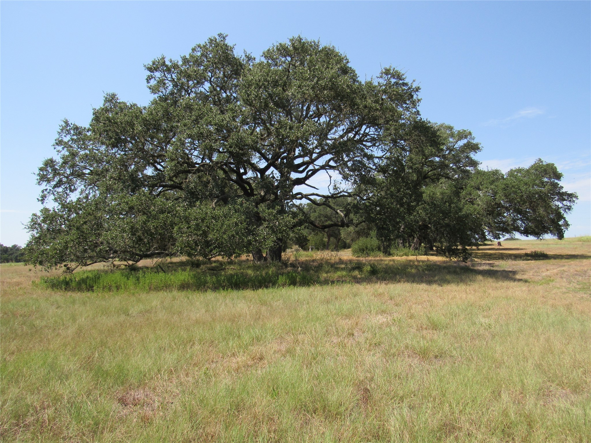 7863 Fm 332 Road Property Photo 1