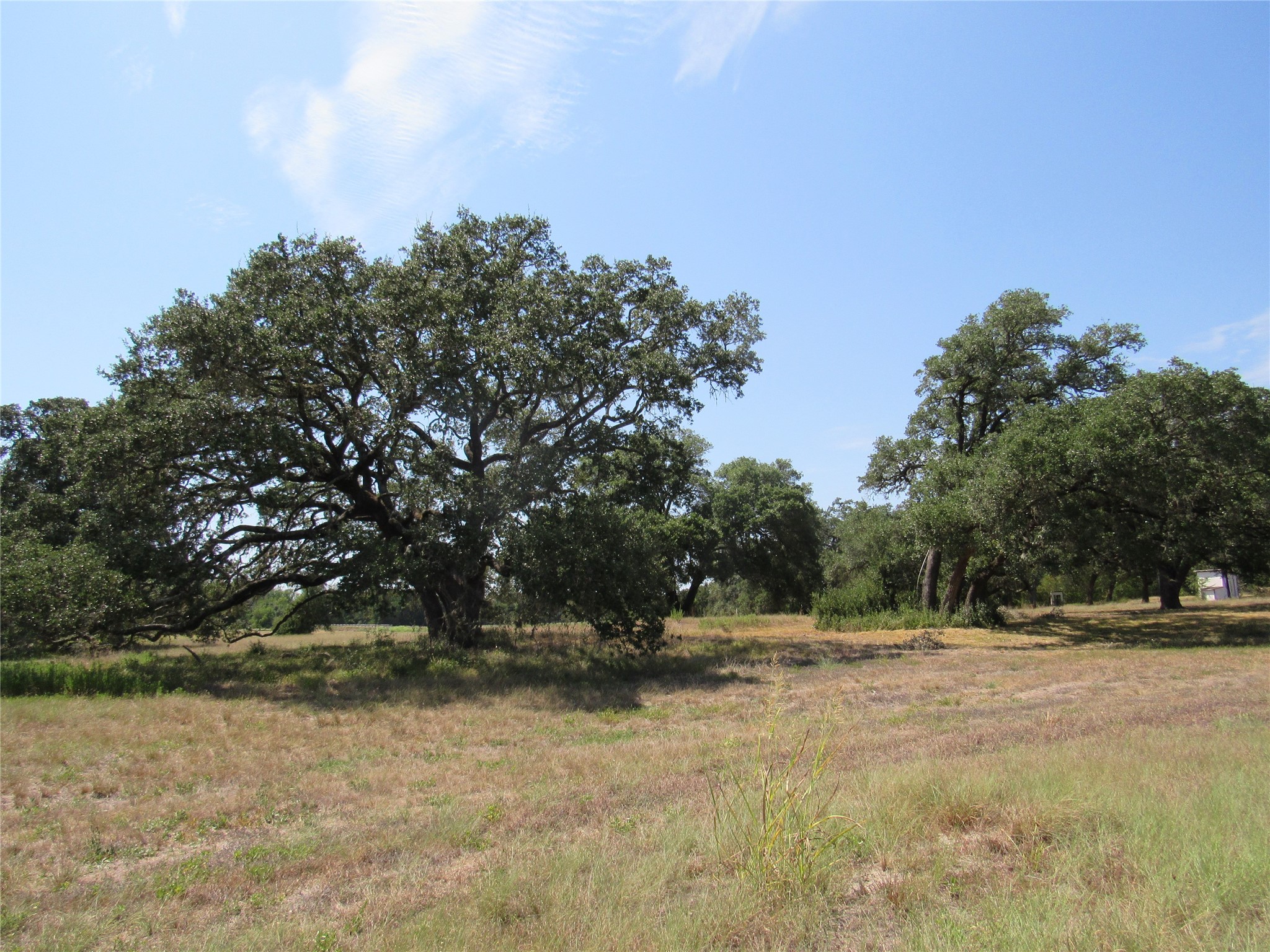 7863 Fm 332 Road Property Photo 2