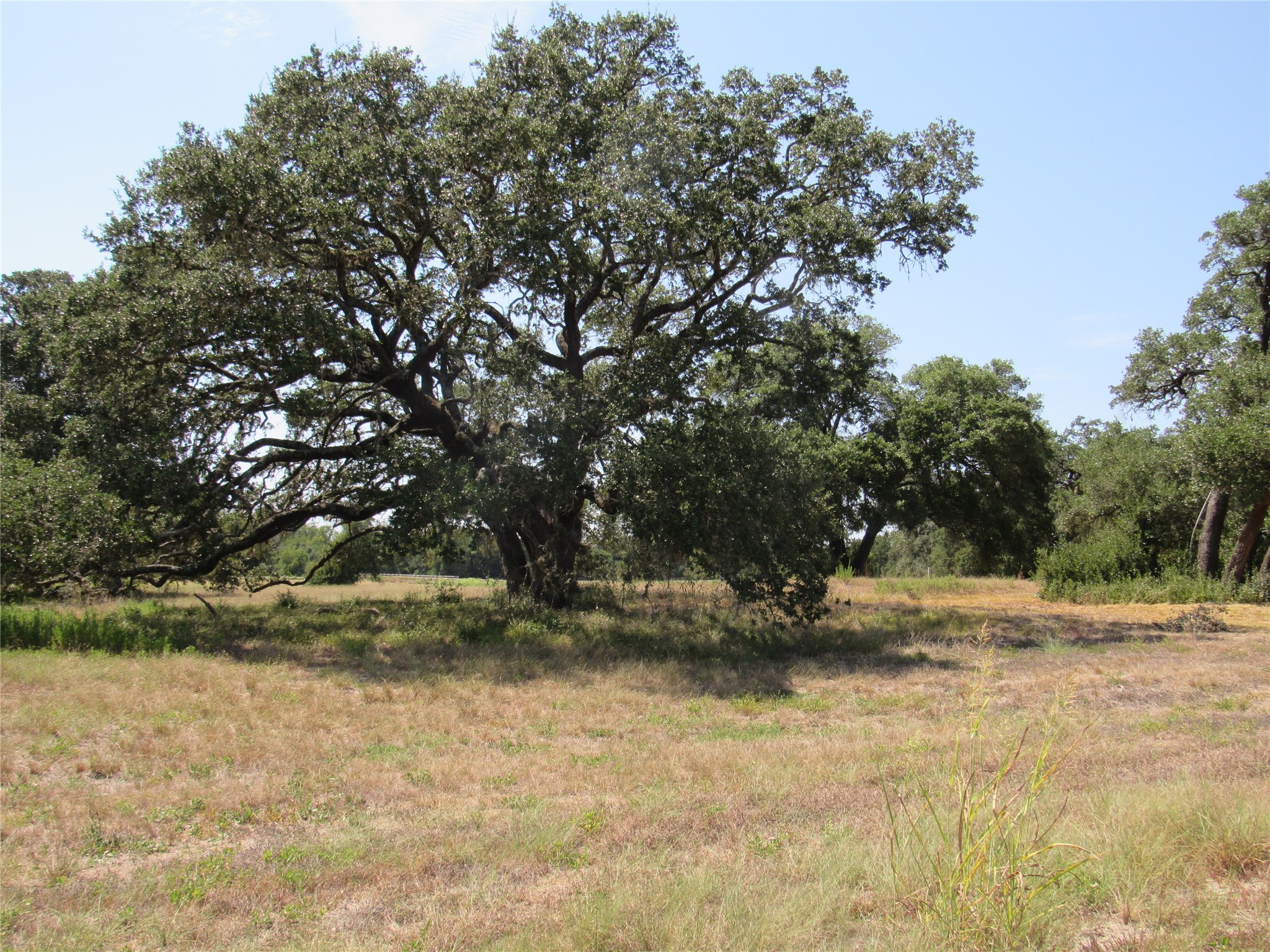 7863 Fm 332 Road Property Photo 3