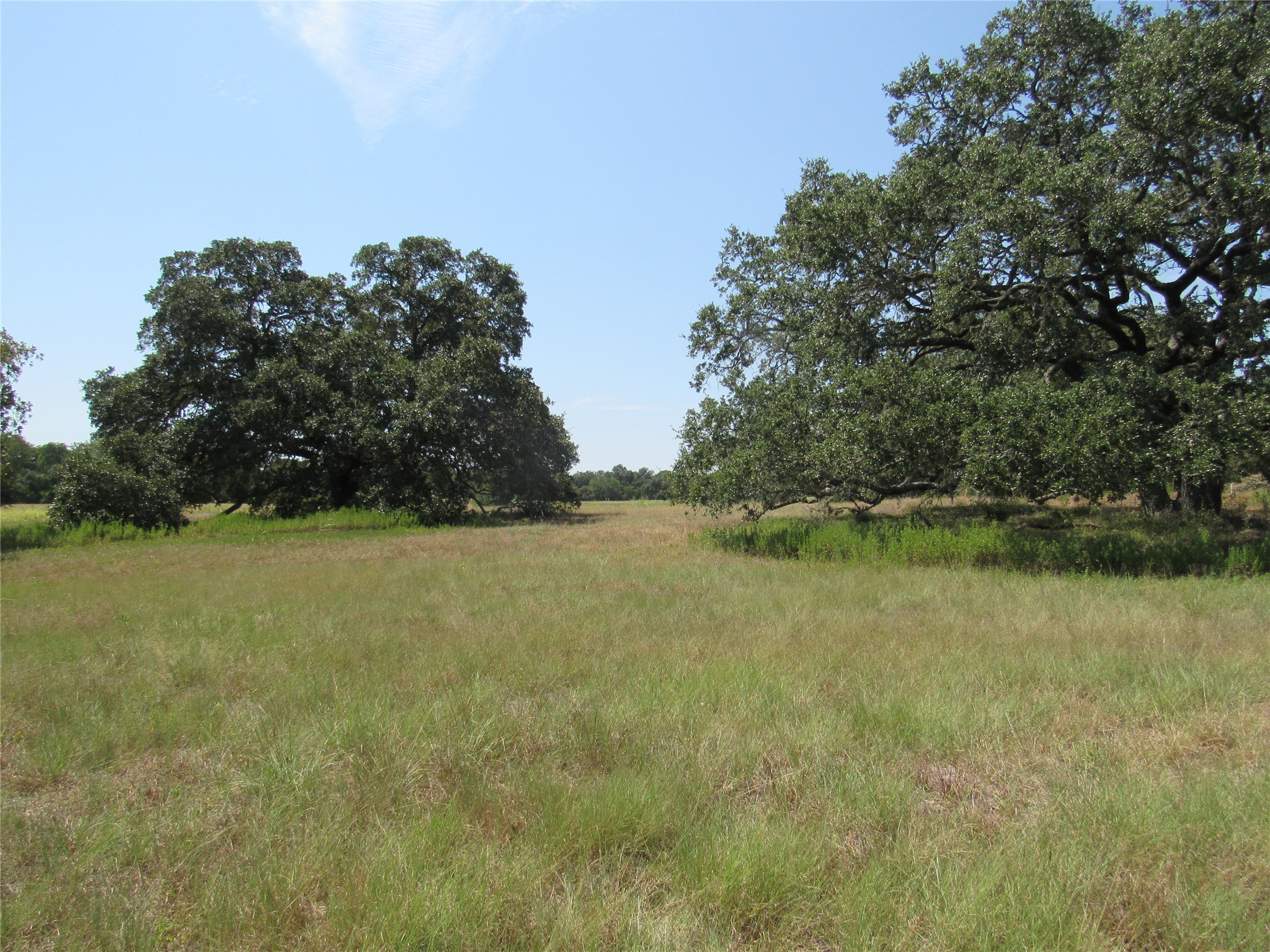 7863 Fm 332 Road Property Photo 4
