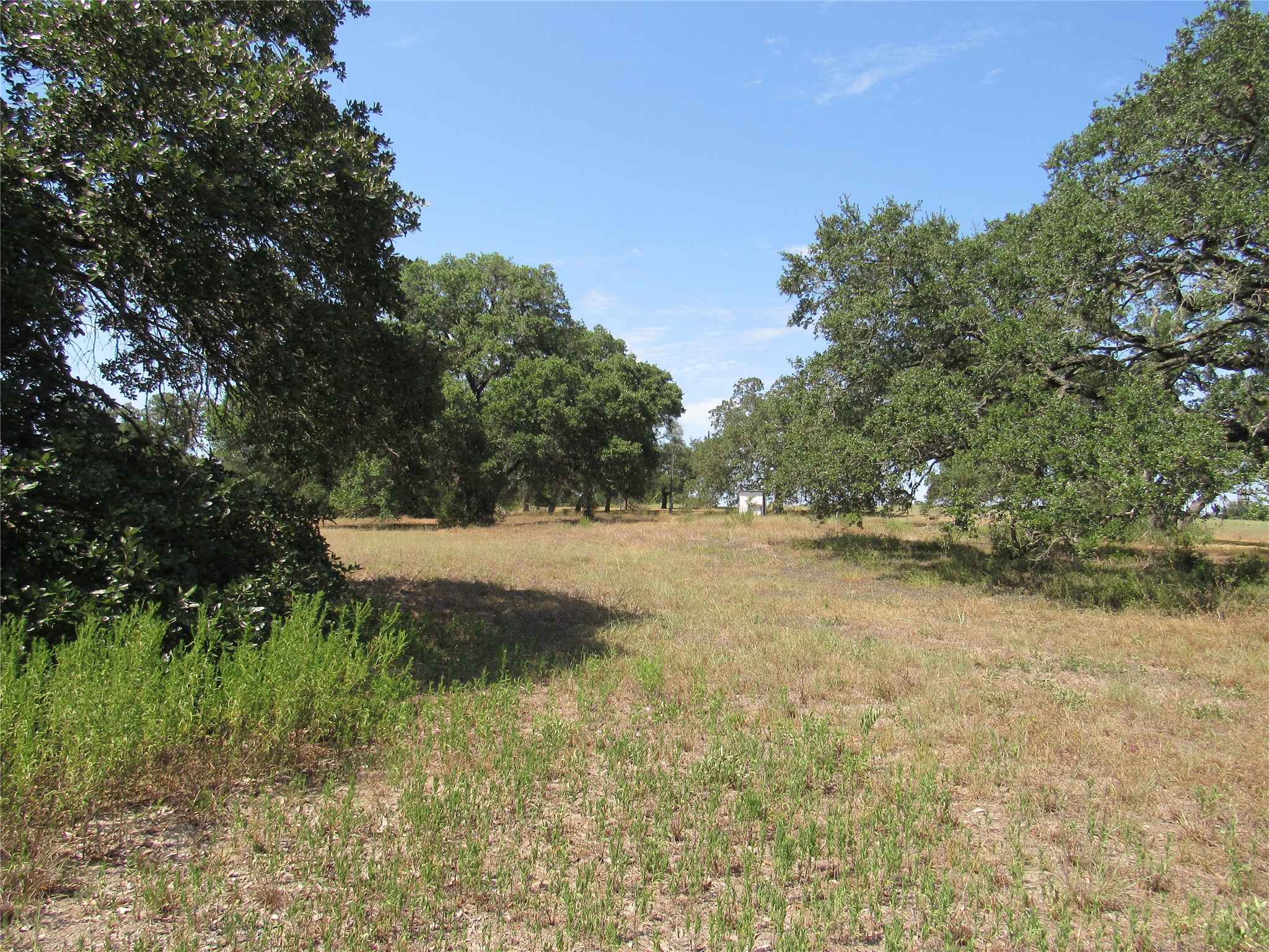 7863 Fm 332 Road Property Photo 5