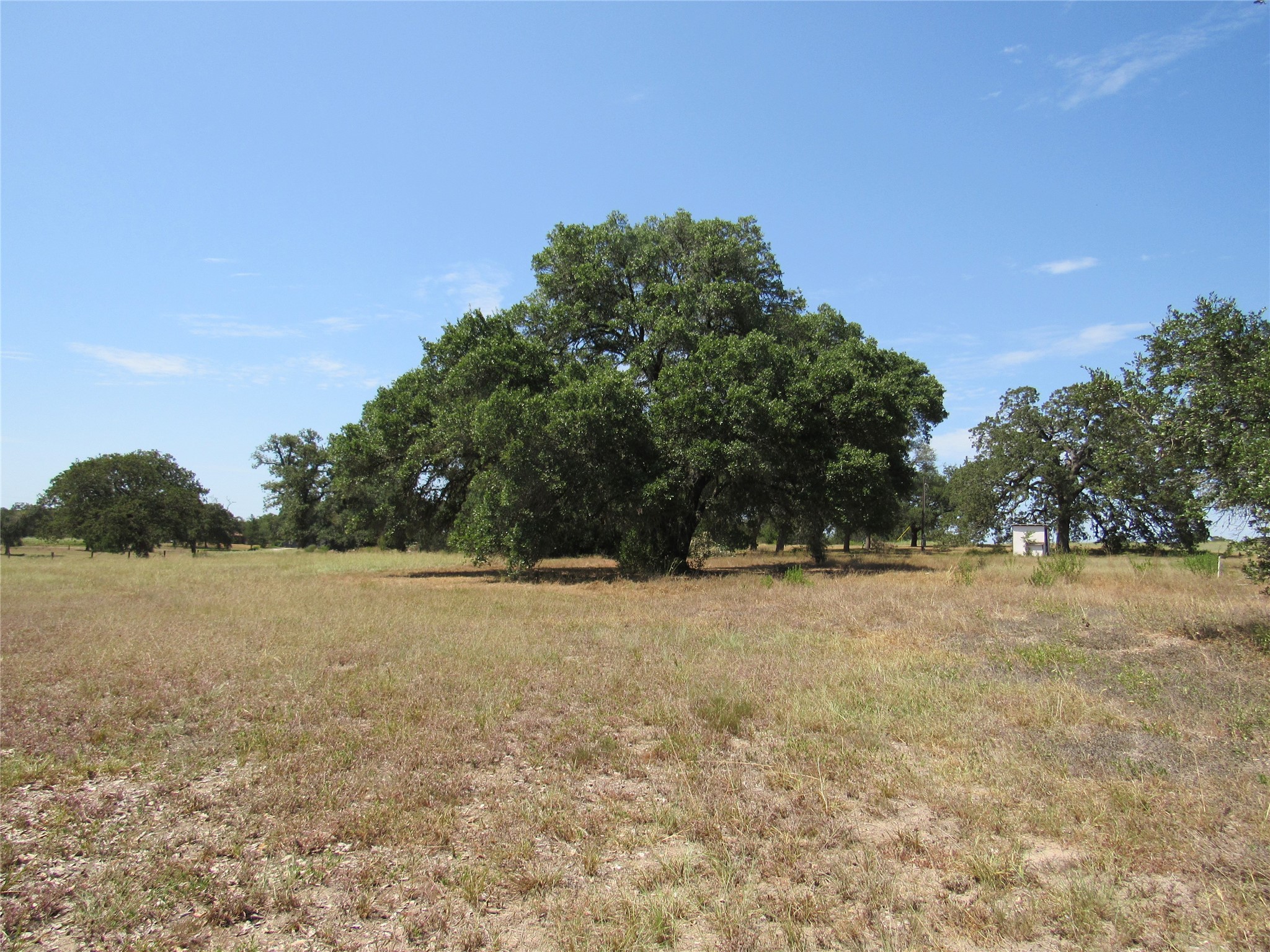 7863 Fm 332 Road Property Photo 6