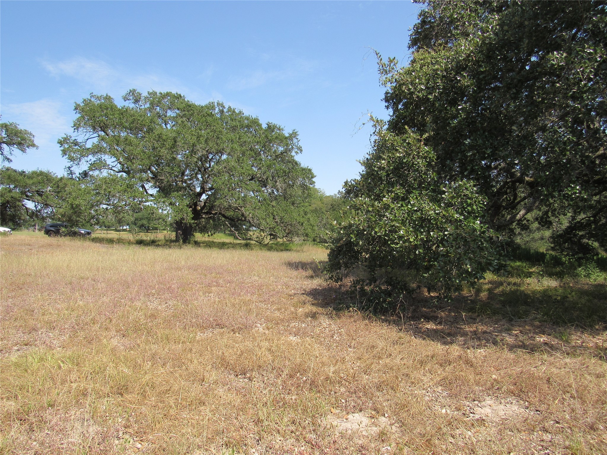 7863 Fm 332 Road Property Photo 9