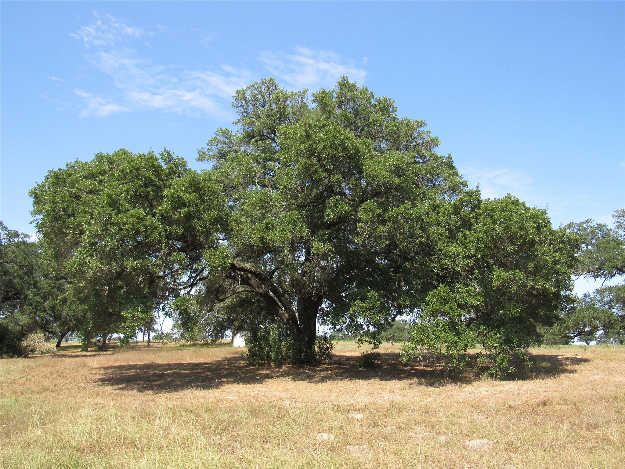7863 Fm 332 Road Property Photo 11