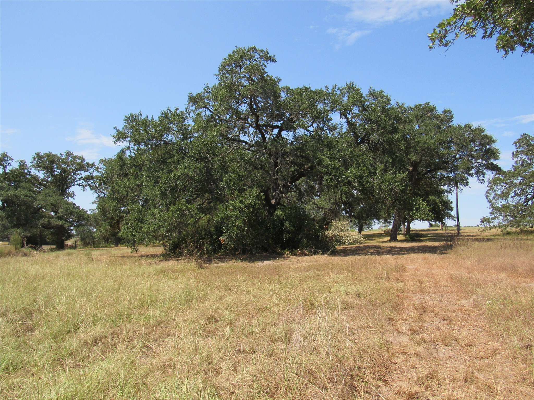 7863 Fm 332 Road Property Photo 12