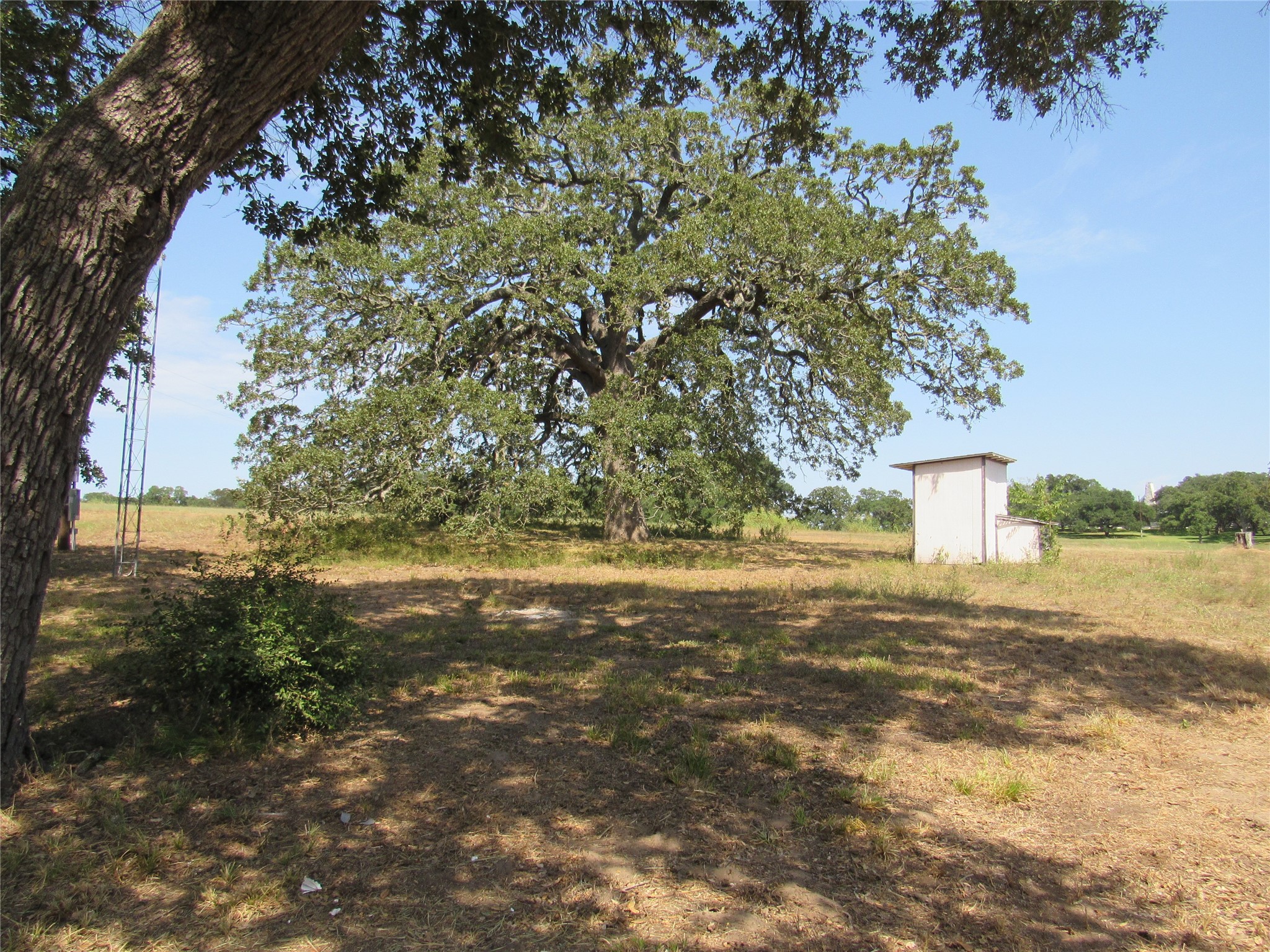 7863 Fm 332 Road Property Photo 16