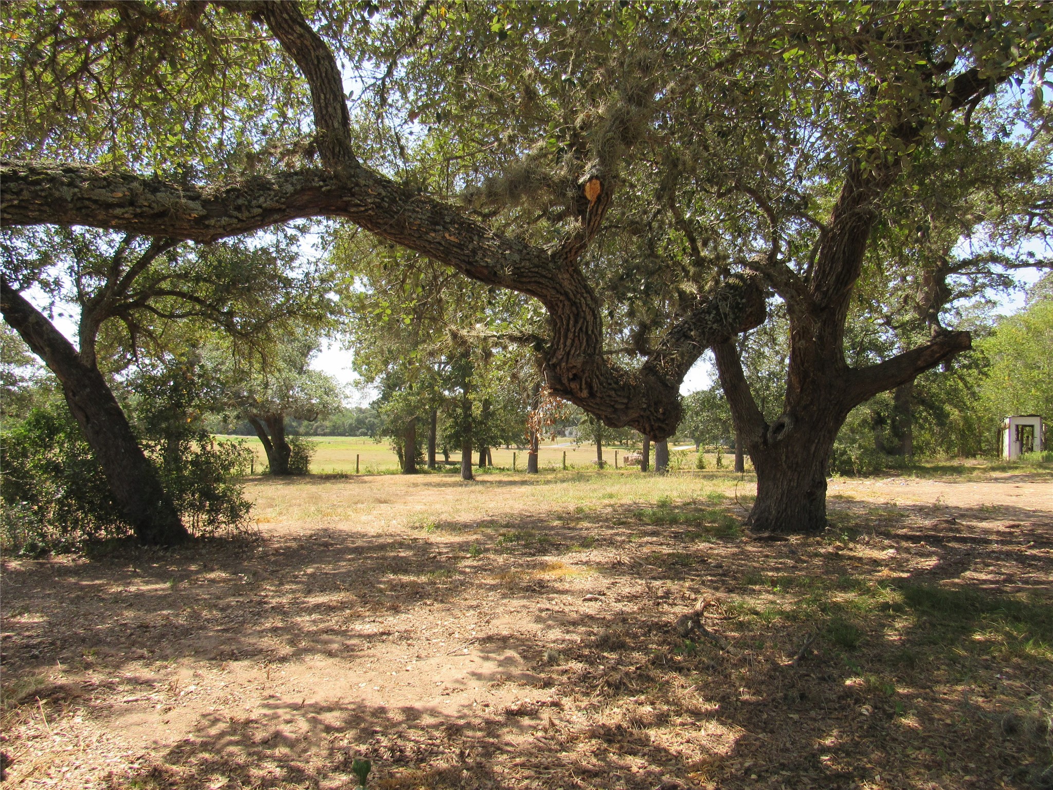 7863 Fm 332 Road Property Photo 17