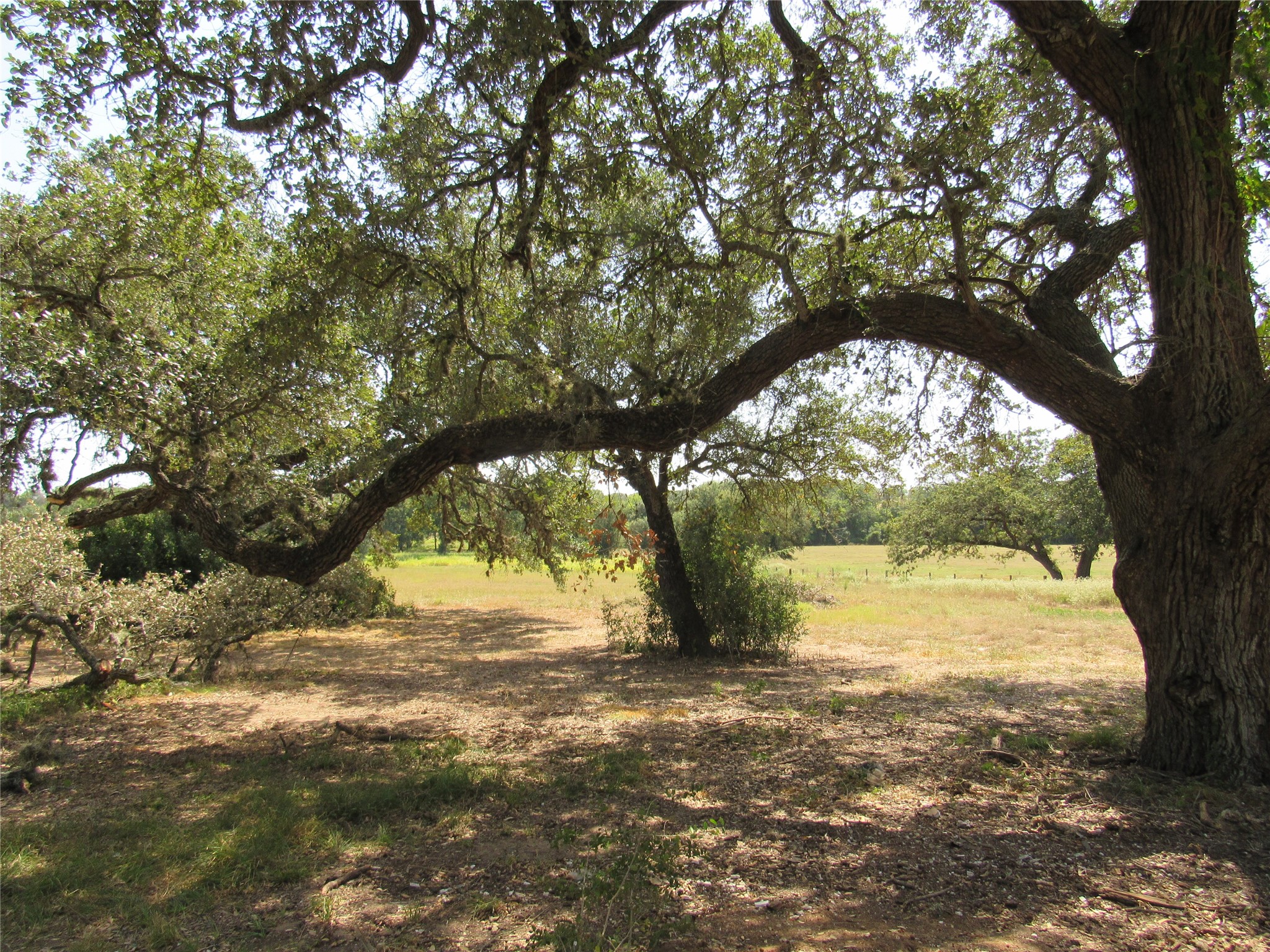 7863 Fm 332 Road Property Photo 19