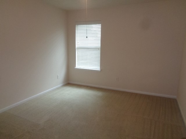 21559 Forest Colony Dr Property Photo 18
