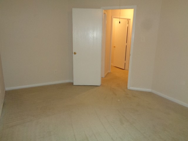 21559 Forest Colony Dr Property Photo 23