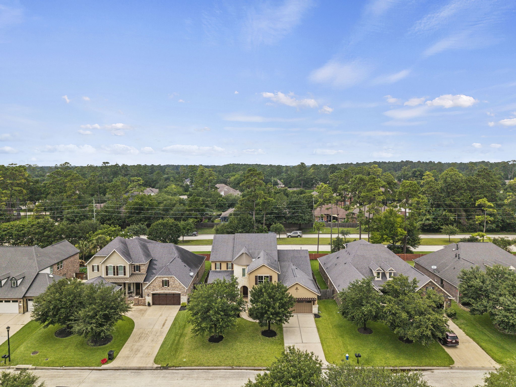 14215 Spindle Arbor Road Property Photo 49