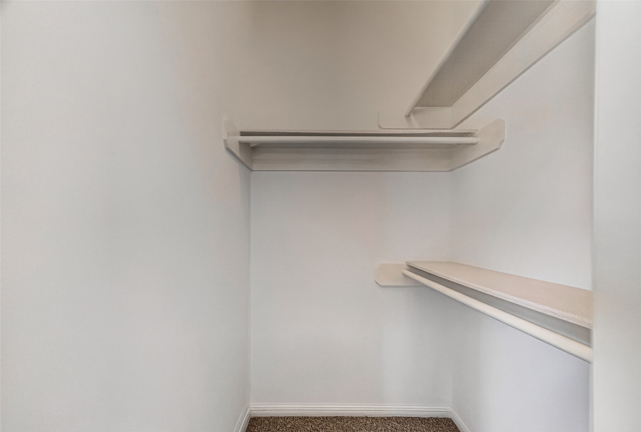 3619 W Clay Street Property Photo 13
