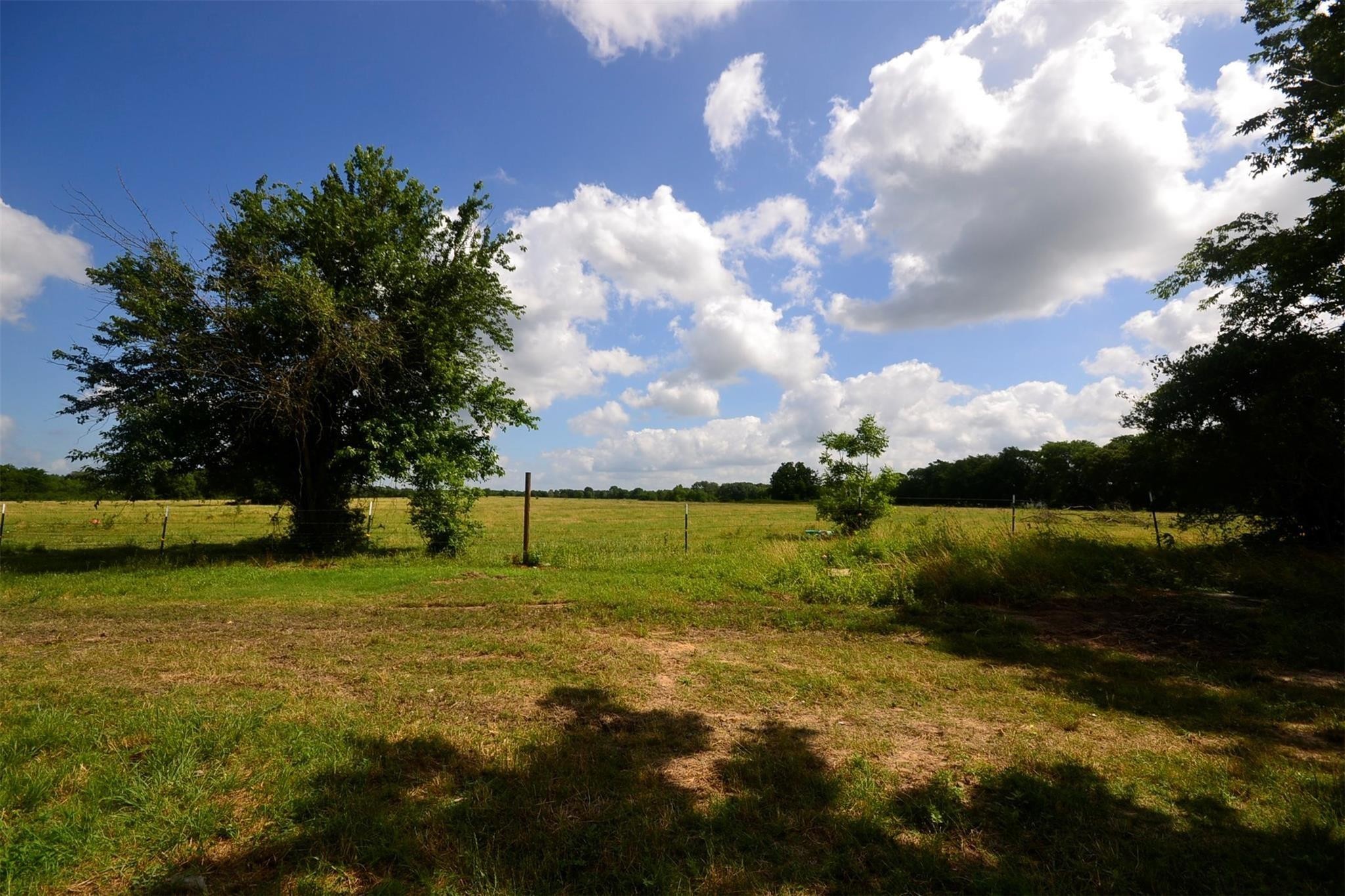 12652 Calvary Road Property Photo 20