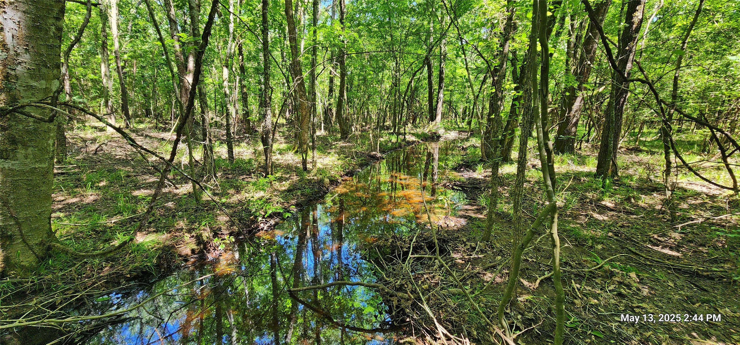 Tbd Cr 3233 East And Cr 3230 Property Photo 1