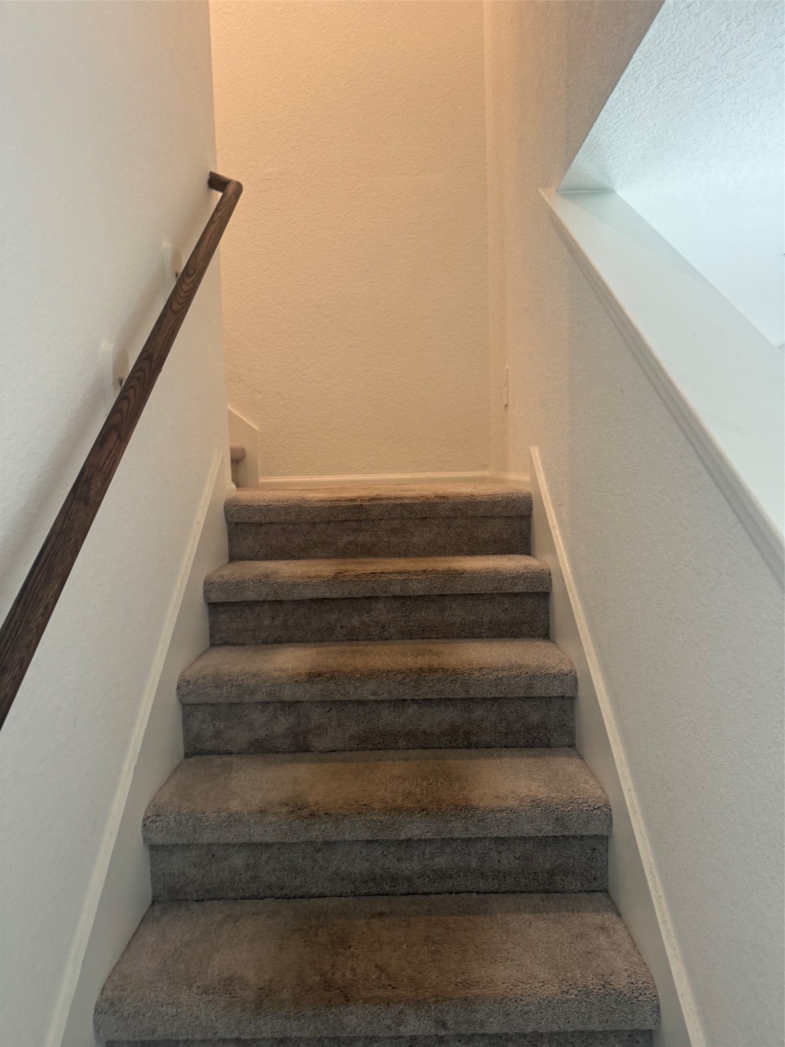 3202 Holly Stokes Way Property Photo 13