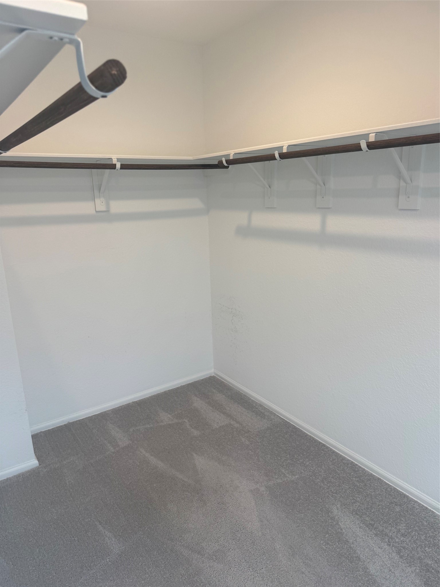 3202 Holly Stokes Way Property Photo 14