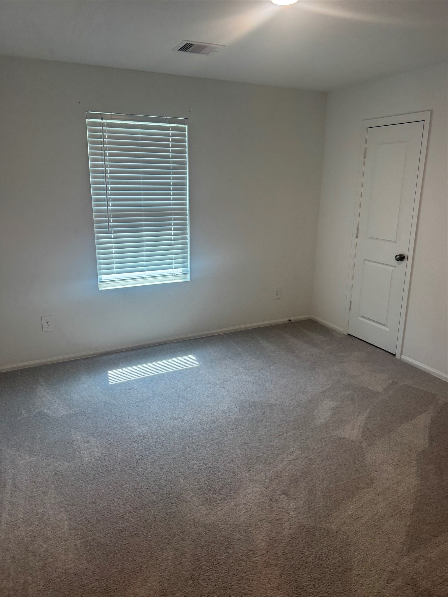 3202 Holly Stokes Way Property Photo 21
