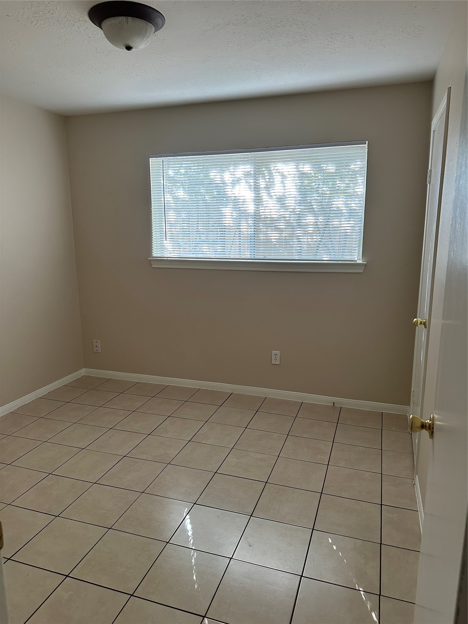 955 Grand Junction Drive Property Photo 4