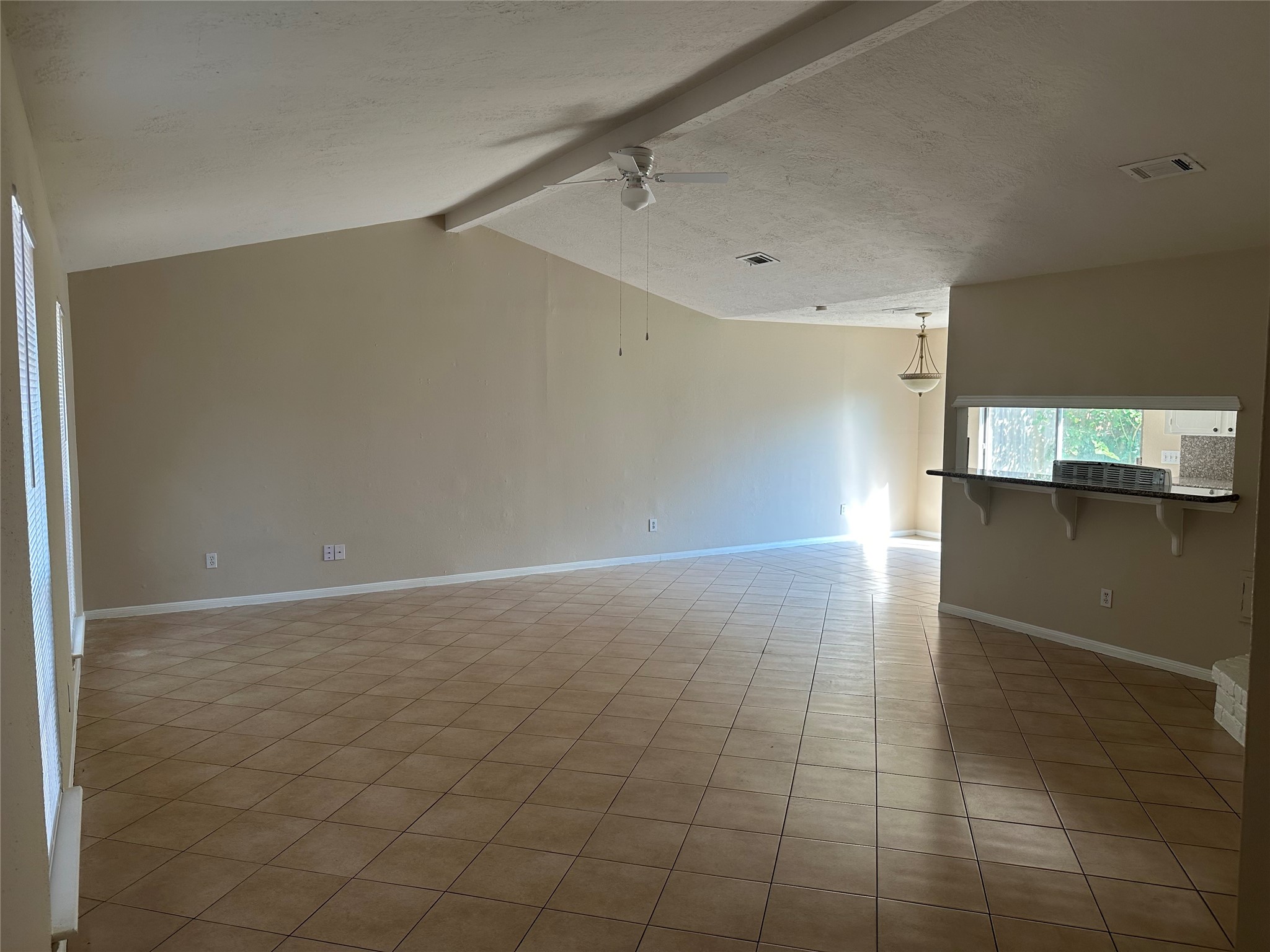 955 Grand Junction Drive Property Photo 7