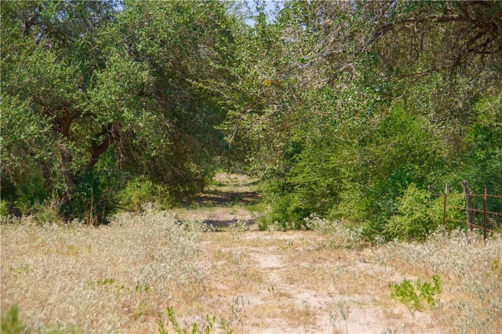 000 Doehrman Road Property Photo 15