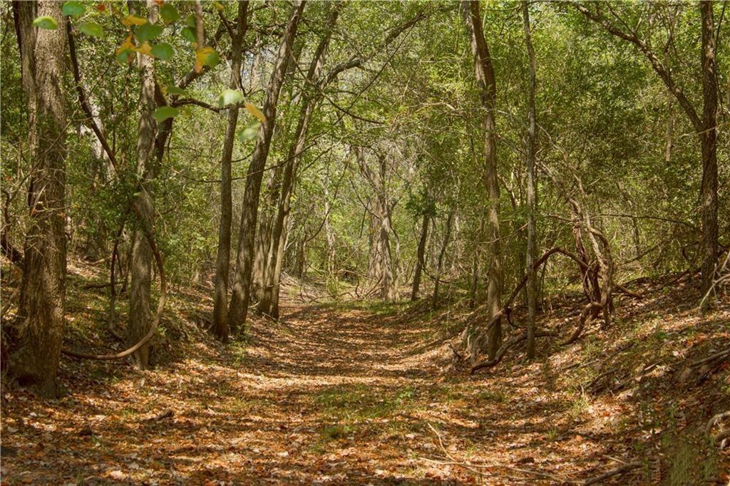 000 Doehrman Road, Meyersville Tx 77974 Property Photo 16