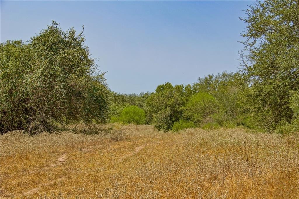 000 Doehrman Road Property Photo 17