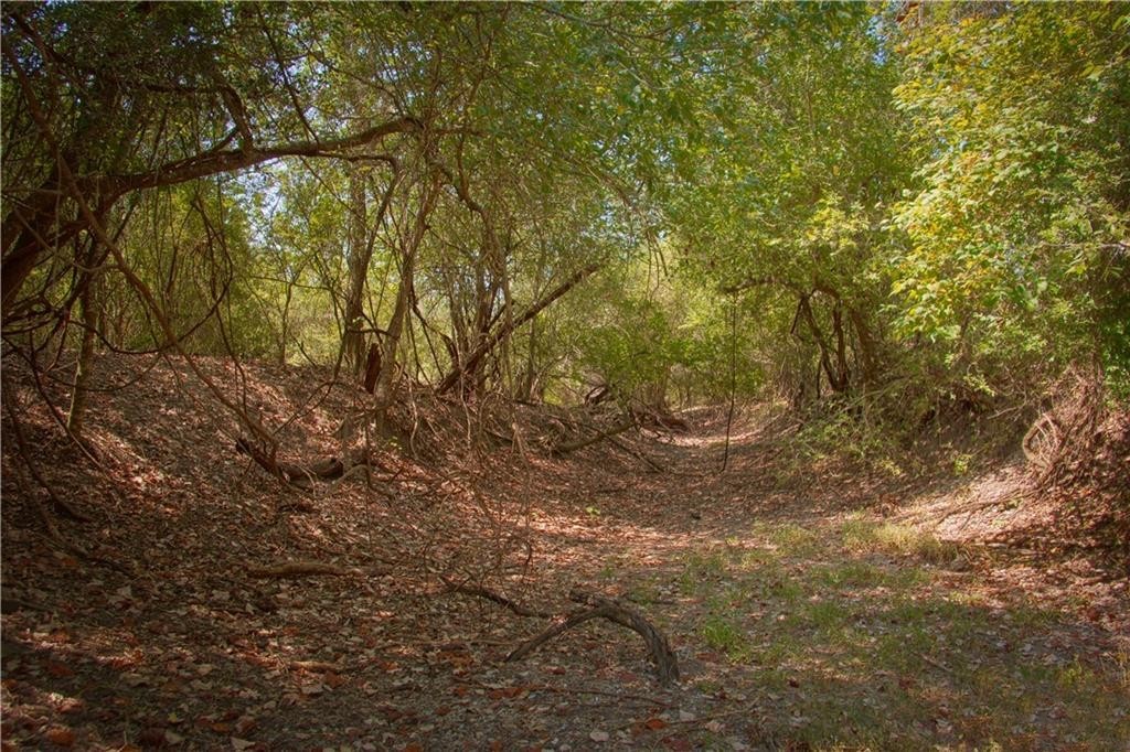 000 Doehrman Road Property Photo 18