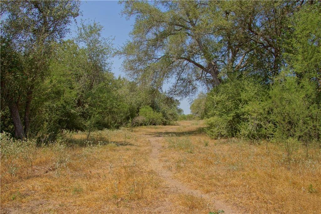 000 Doehrman Road, Meyersville Tx 77974 Property Photo 19