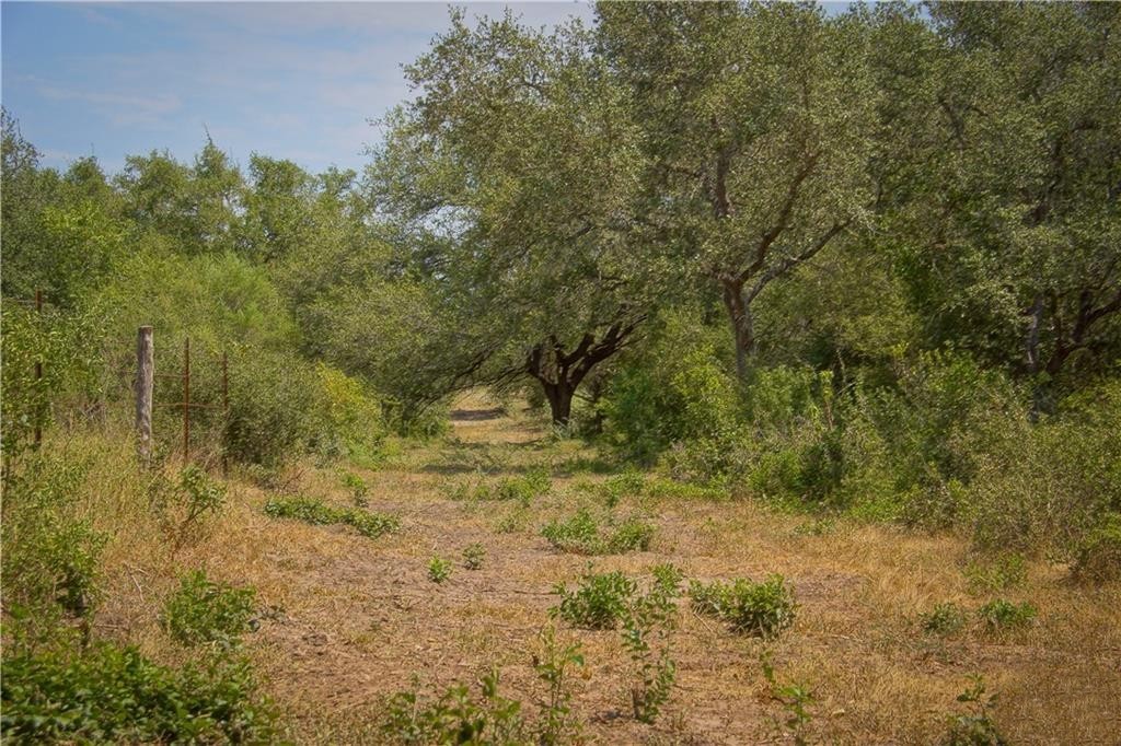 000 Doehrman Road Property Photo 20