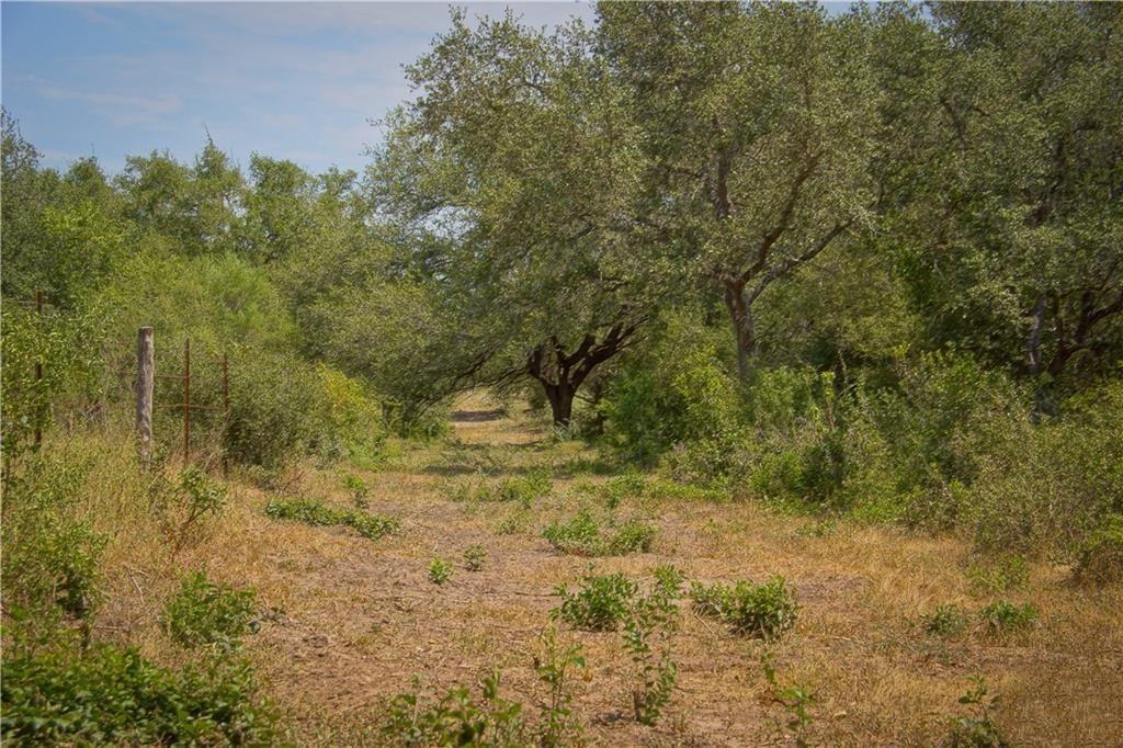 000 Doehrman Road, Meyersville Tx 77974 Property Photo 20