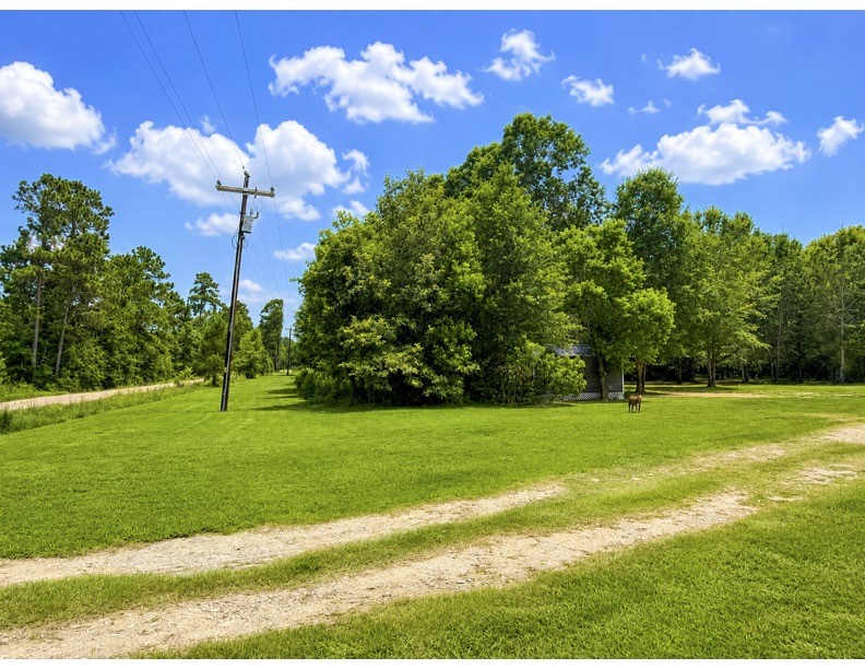 476 Camp Branch Road Property Photo 3