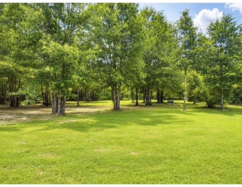 476 Camp Branch Road Property Photo 16