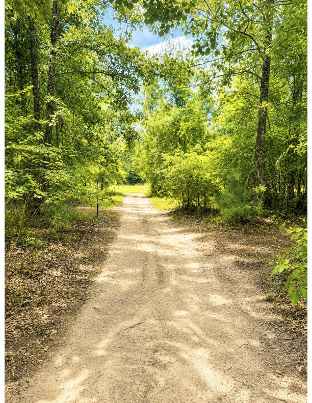 476 Camp Branch Road Property Photo 18