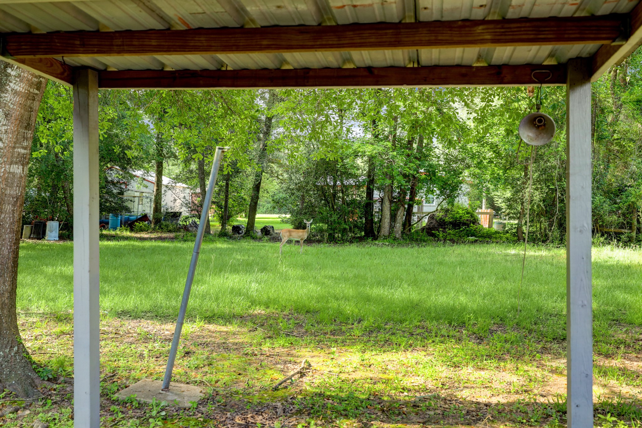9193 Lucille Lane Property Photo 29