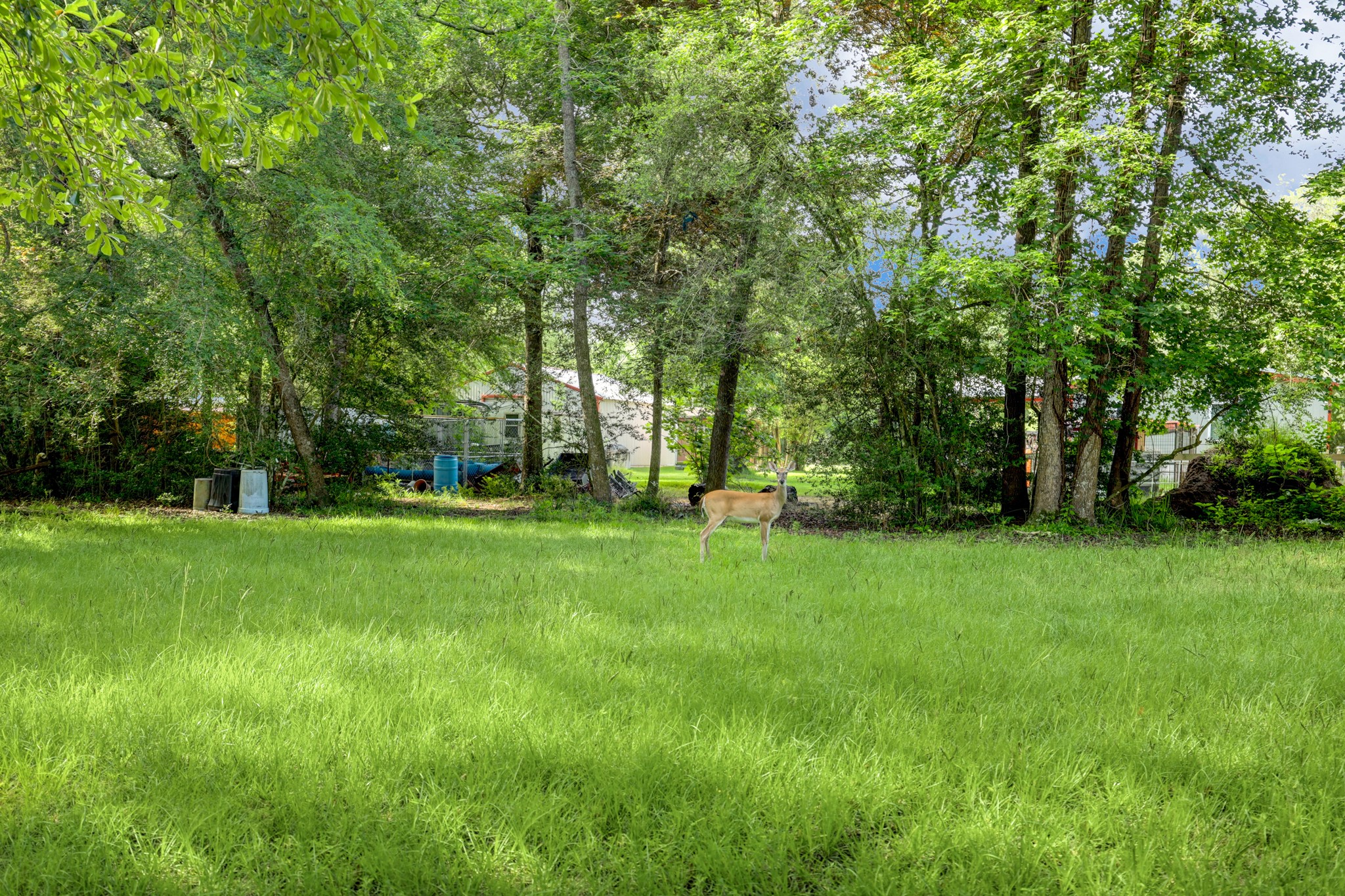 9193 Lucille Lane Property Photo 30