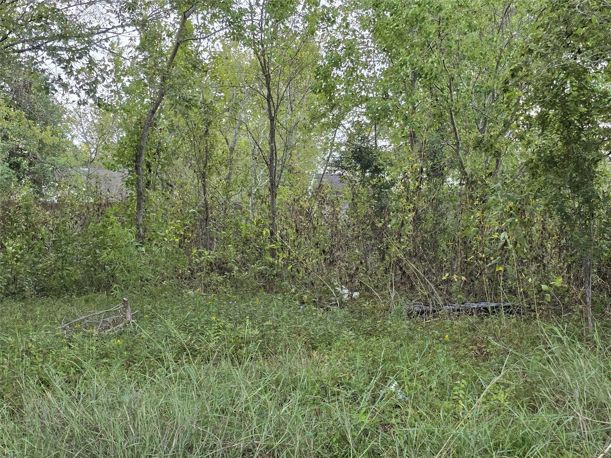 3215 Newhoff Street Property Photo