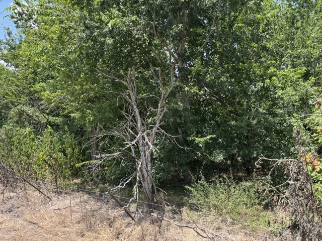 Tbd Hopkins Road Property Photo 4
