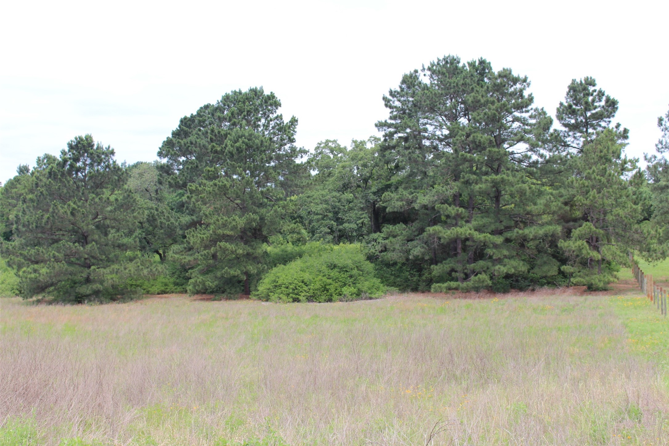 Tr #39 Pr 1315 Property Photo 16