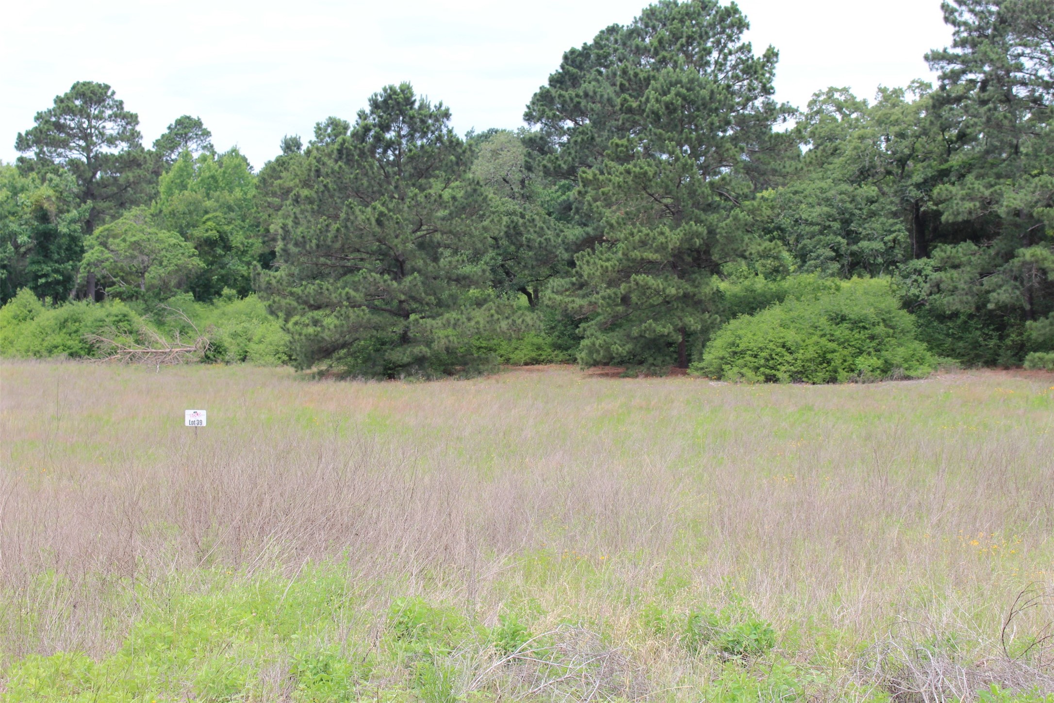 Tr #39 Pr 1315 Property Photo 18