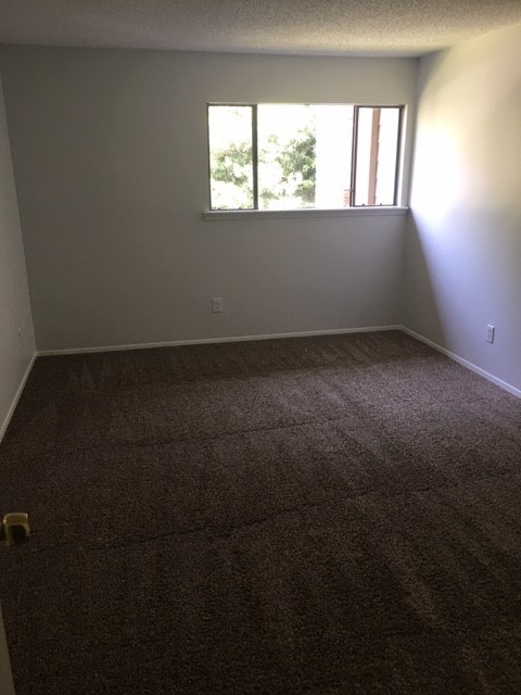 7114 N Holiday Property Photo 11