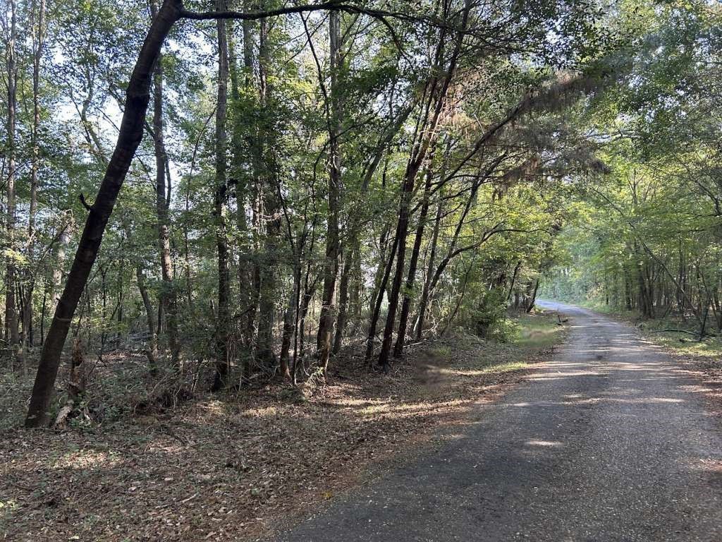1229 Spraglin Road Property Photo 1