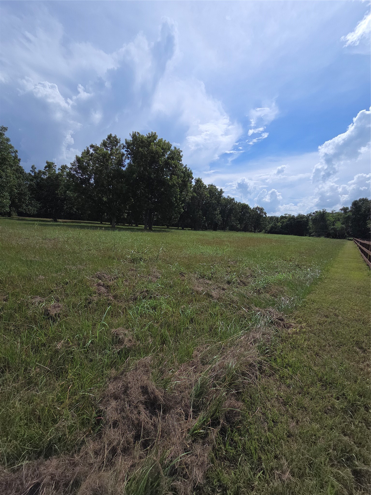 16834 Wrangler Road Property Photo 2