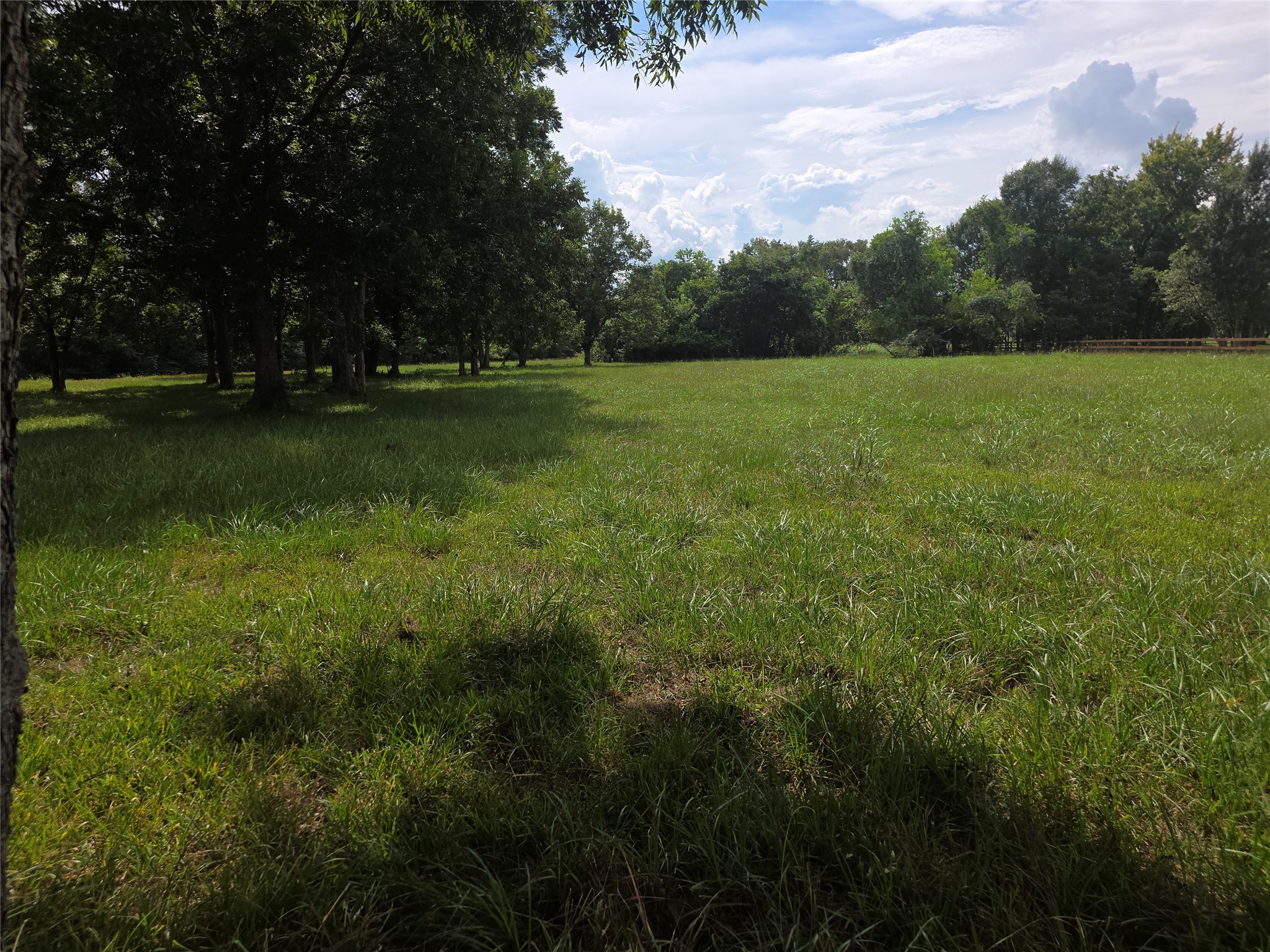 16834 Wrangler Road Property Photo 4