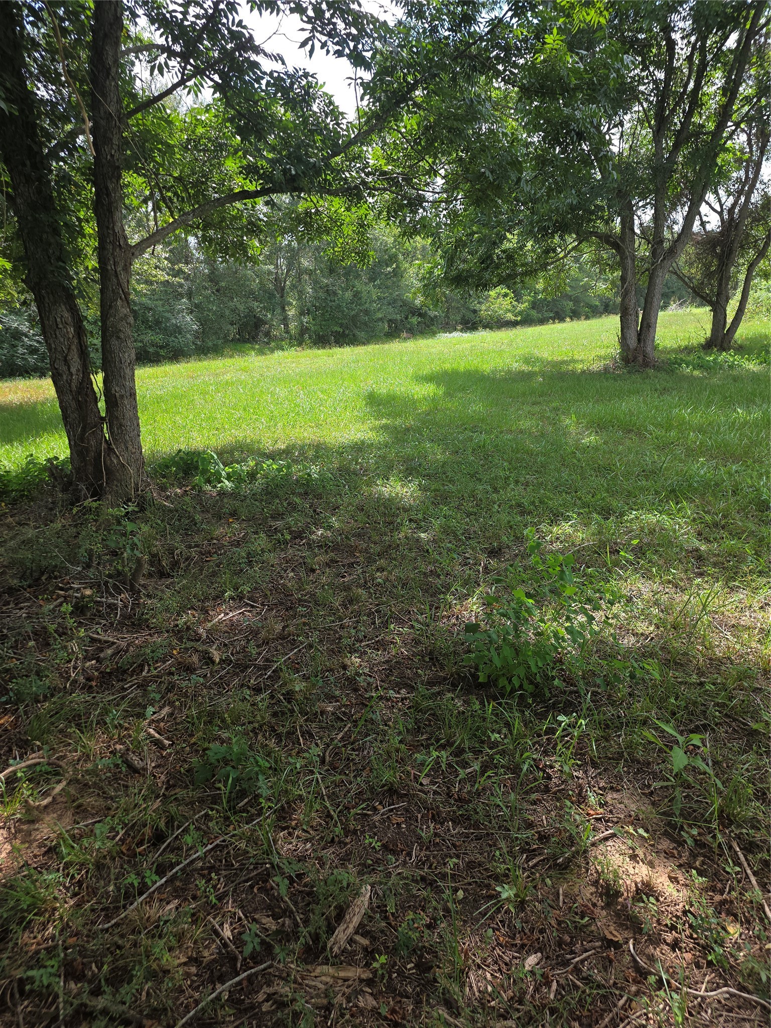 16834 Wrangler Road Property Photo 5