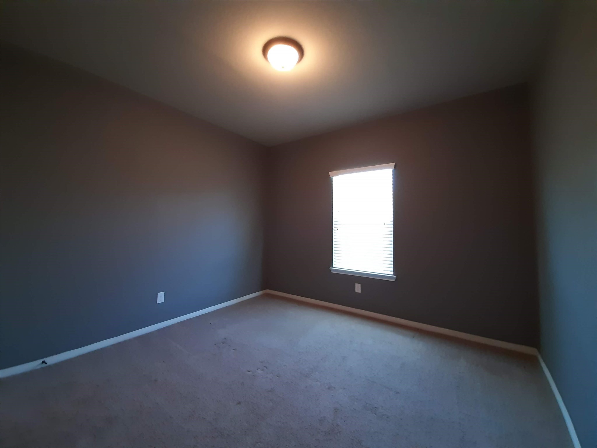 23322 E Pine Ivy Lane Property Photo 17
