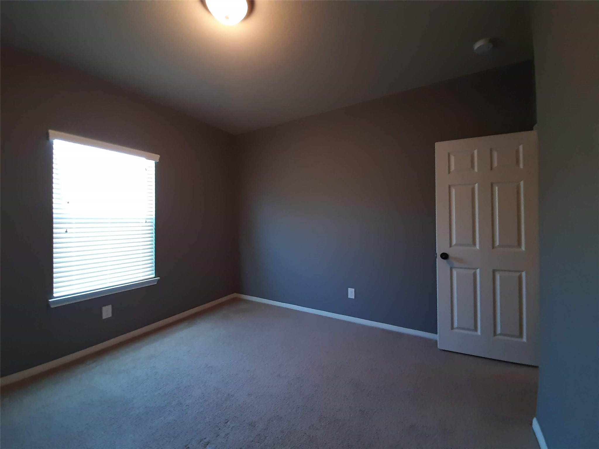 23322 E Pine Ivy Lane Property Photo 19
