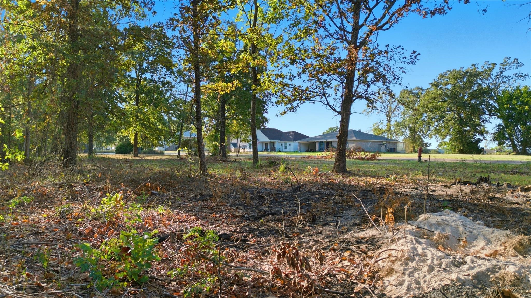 Tbd (lot 24) Deep Woods Lane Property Photo 6