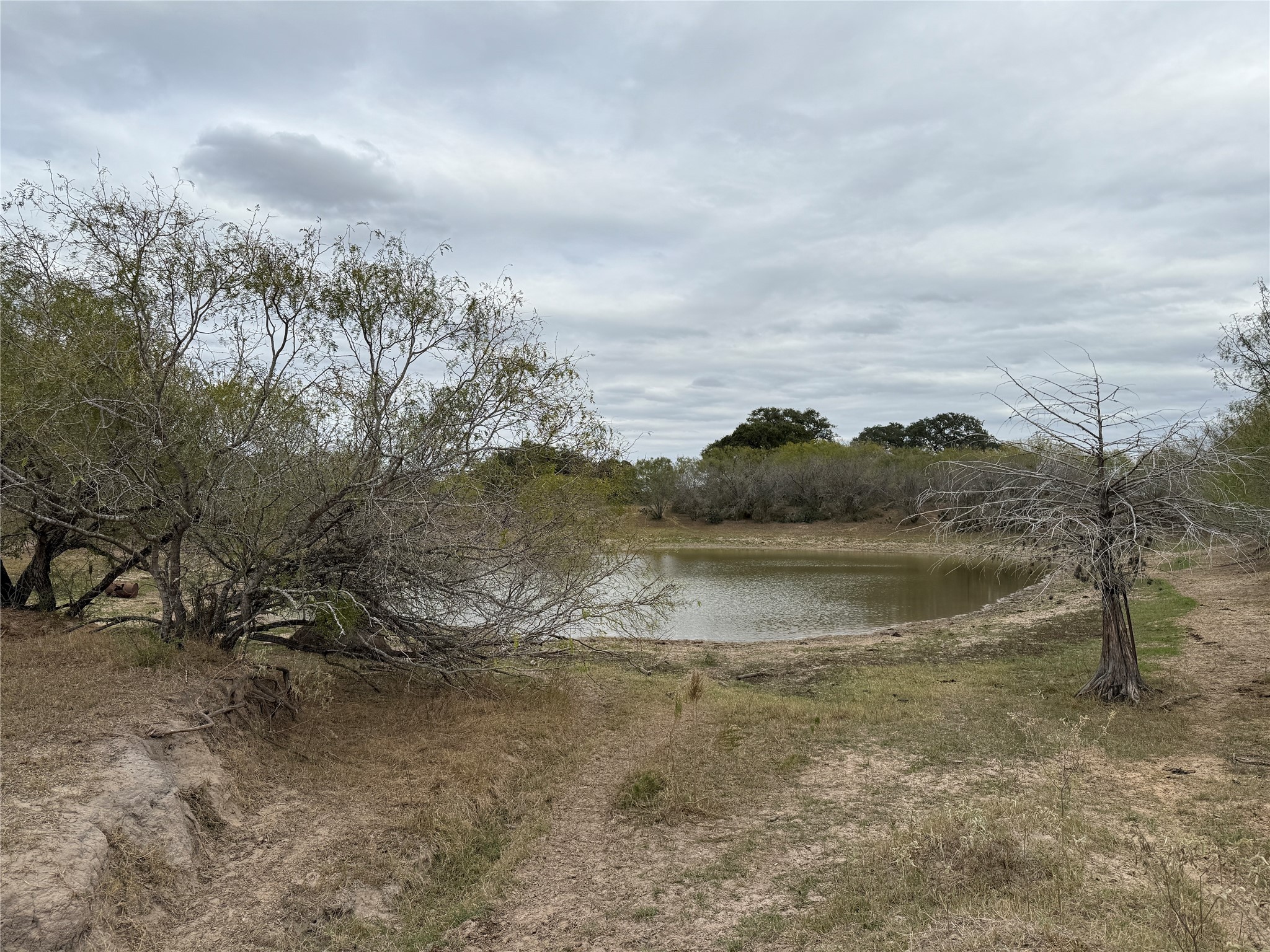 3737 Bruce Lot 6 Road Property Photo 1