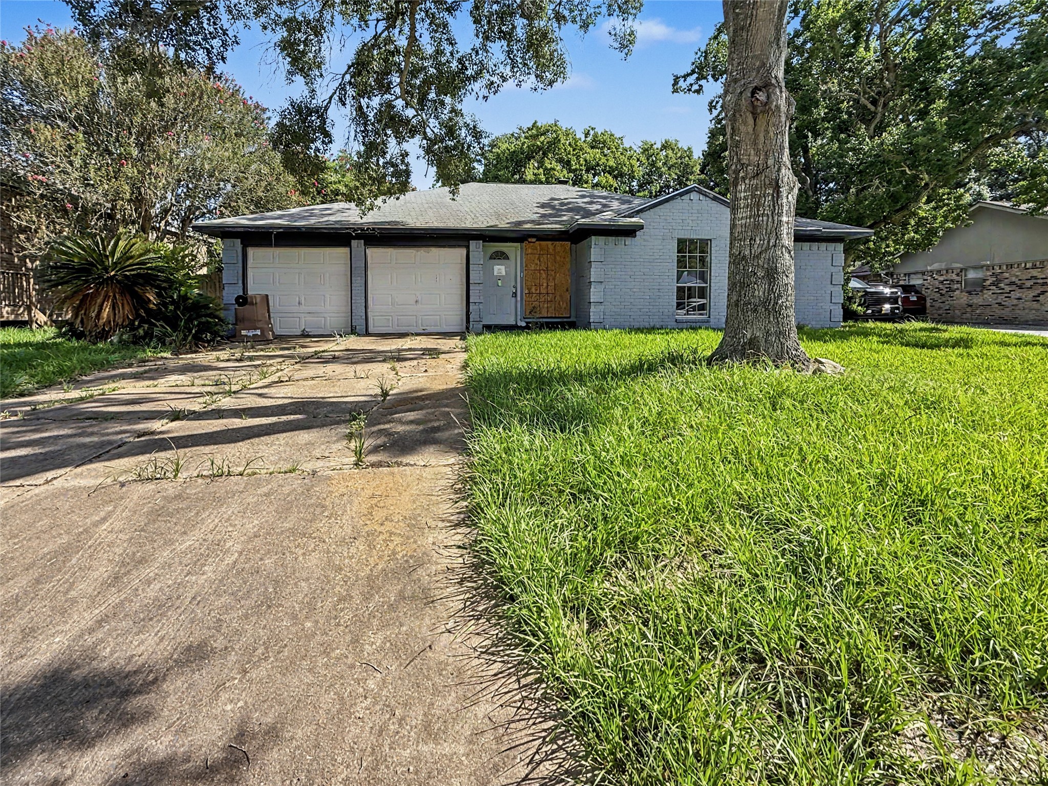 5003 Live Oak Drive Property Photo 1