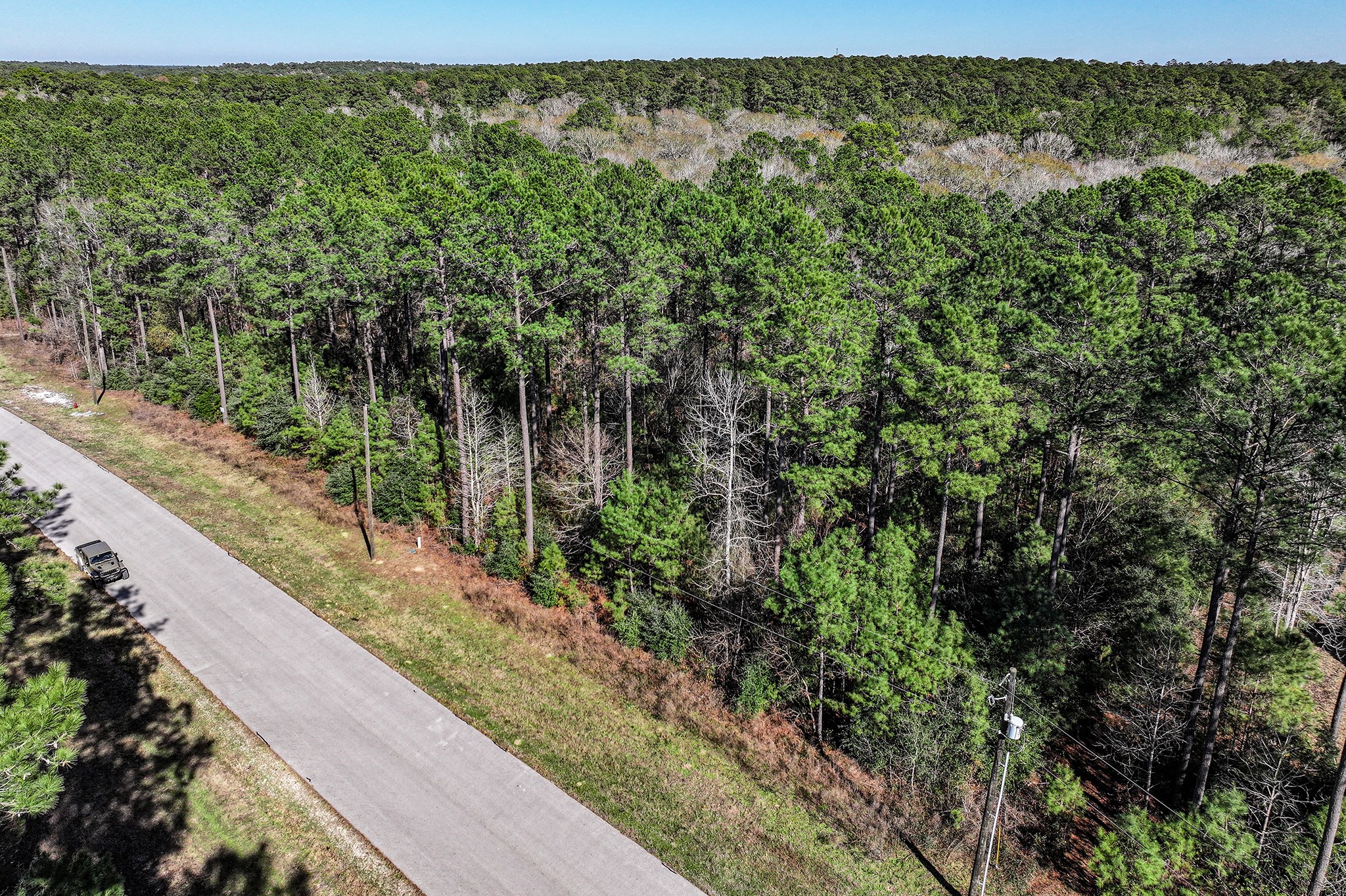 76 Wagon Pass Property Photo 1